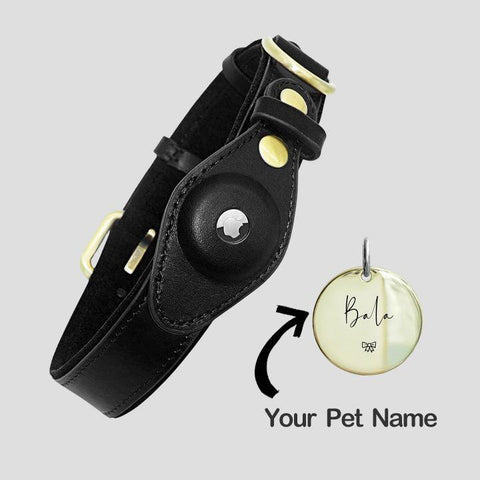 Airtag for Dog, Apple Tag Dog Collar, Apple Airtag Dog Collar, Air Tag Collar, Airtag Dog Collar Holder - Cushy Pups