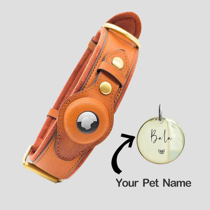 Airtag for Dog, Apple Tag Dog Collar, Apple Airtag Dog Collar, Air Tag Collar, Airtag Dog Collar Holder - Cushy Pups