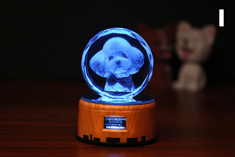Custom 3d Laser Crystal Engraving | Photo Crystal Engraving - Cushy Pups