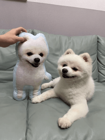 Custom Dog Pillow | Dog Shaped Pillow | Jumbo Pillow Pet - Cushy Pups