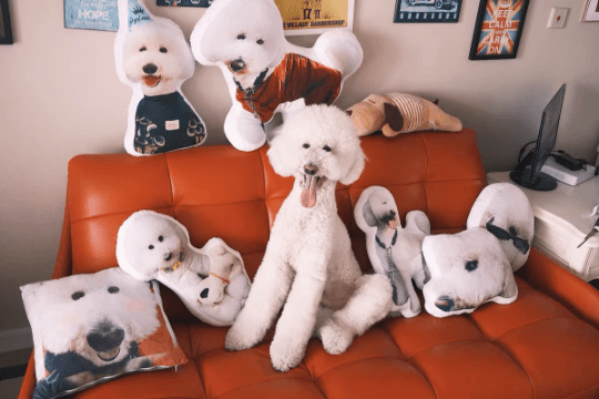 Custom Dog Pillow Dog Shaped Pillow Jumbo Pillow Pet