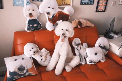 Giant pillow pet sales