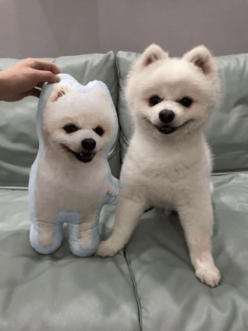 Custom Dog Pillow | Dog Shaped Pillow | Jumbo Pillow Pet - Cushy Pups