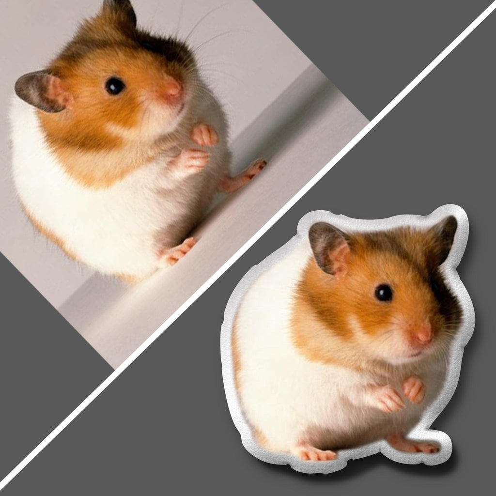 Custom Hamster Pet Pillow | Hamster Lover Gift - Cushy Pups