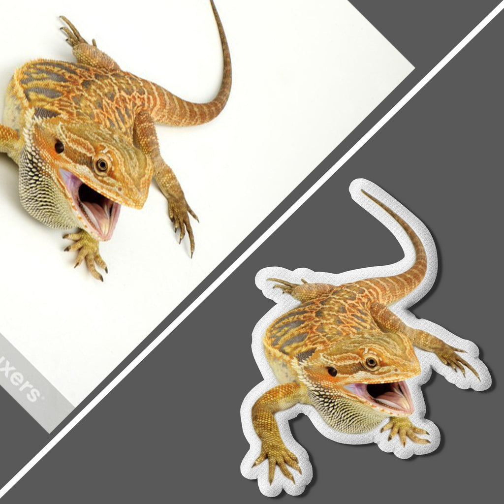 Custom Lizard Pet Pillow | Bearded Dragon Pillow Gift - Cushy Pups