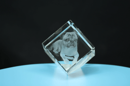 Laser Engraved Pictures In Glass | Custom 3d Laser Crystal Engraving | Photo Crystal Engraving - Cushy Pups