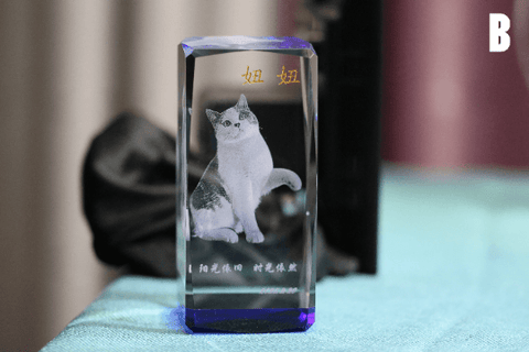 Laser Engraved Pictures In Glass | Custom 3d Laser Crystal Engraving | Photo Crystal Engraving - Cushy Pups