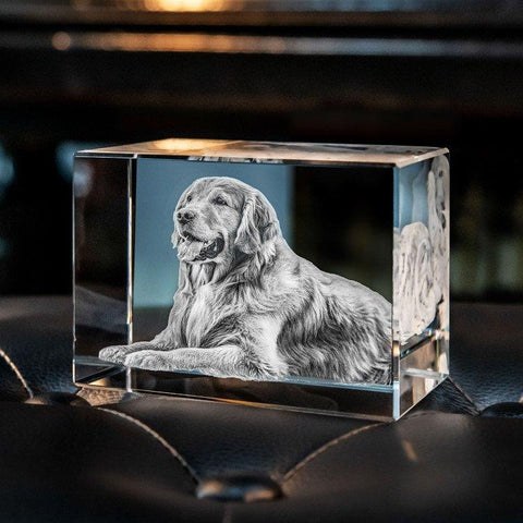 Personalized 3D Photo Crystal Lamp - Cushy Pups