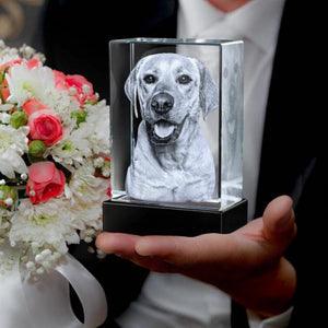 Personalized 3D Photo Crystal Lamp - Cushy Pups