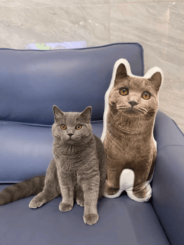 Personalised sales cat pillow